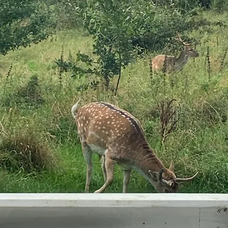 Дом отдыха Nordjylland - Kattegat Asa