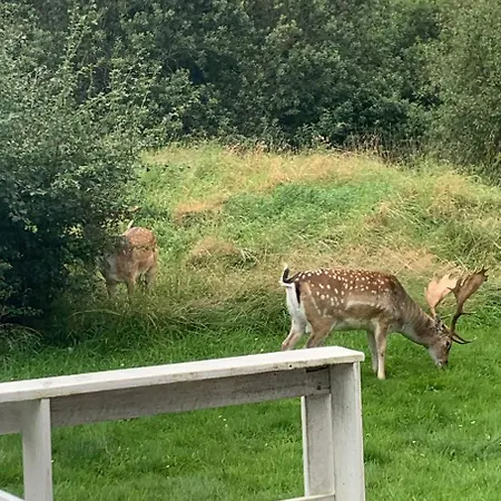 Nordjylland - Kattegat Asa
