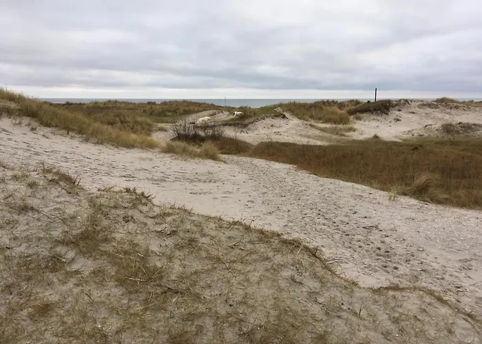 Dom wakacyjny Nordjylland - Kattegat